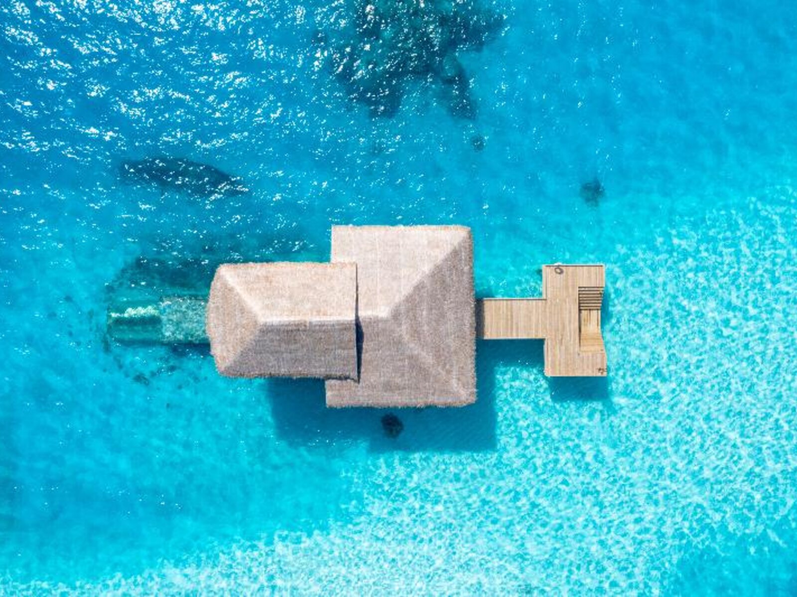 004 - You & Me by Cocoon.jpg