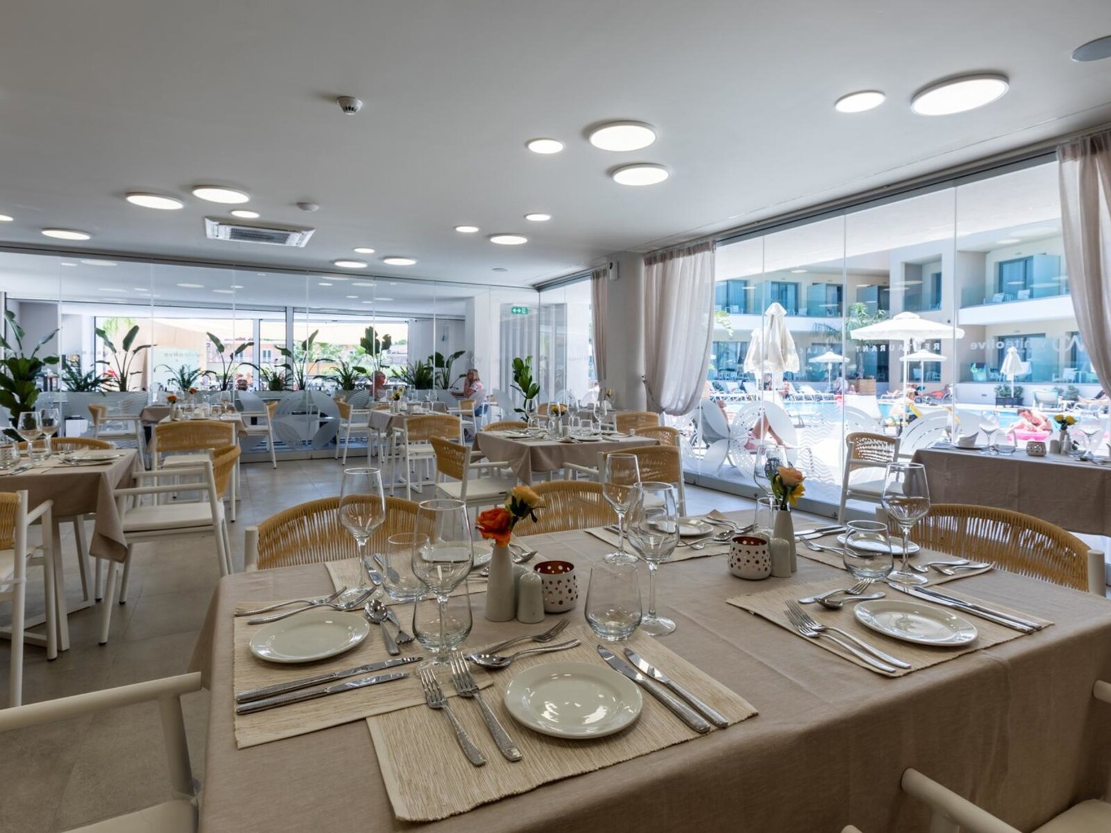 034 - White Olive Elite Laganas.jpg