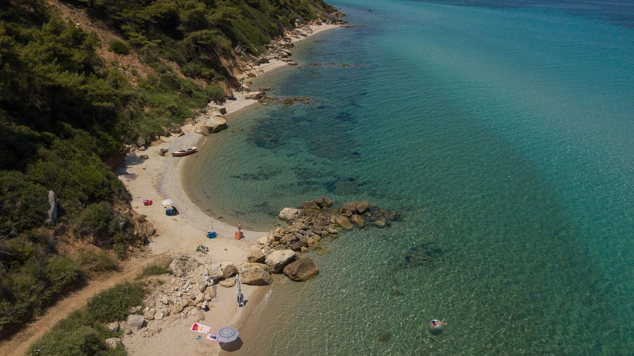 Elies 33 Bio Retreat7.jpg