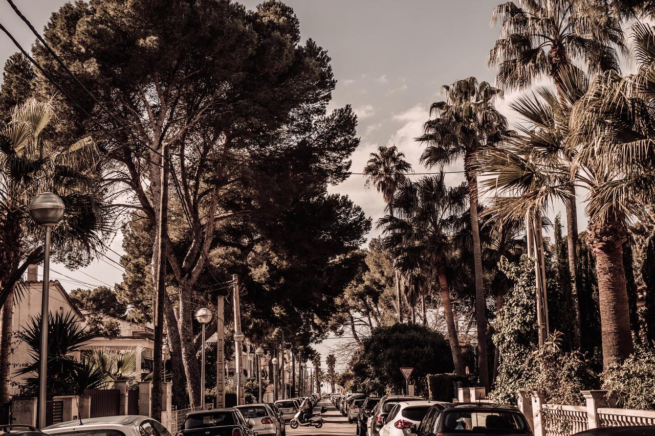 Cook's Club Palma Beach 5.jpg (1)