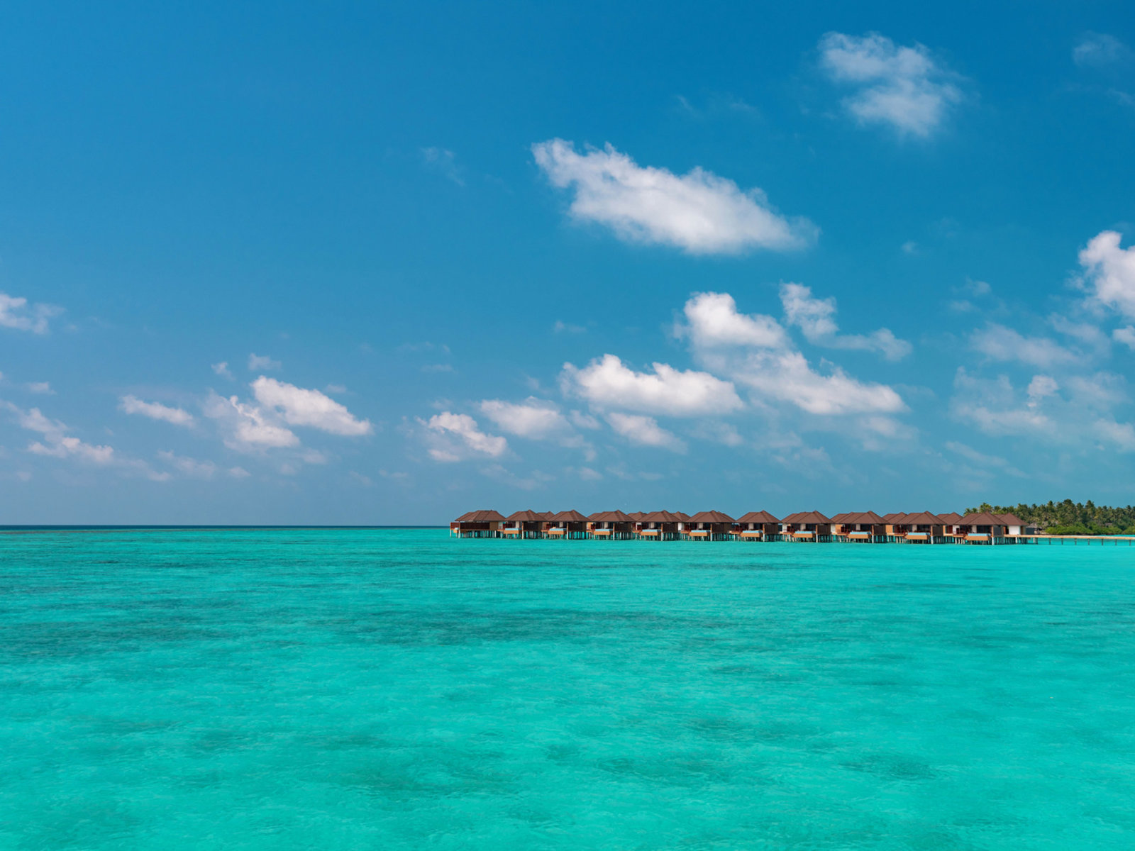 004 - VARU by Atmosphere.jpg