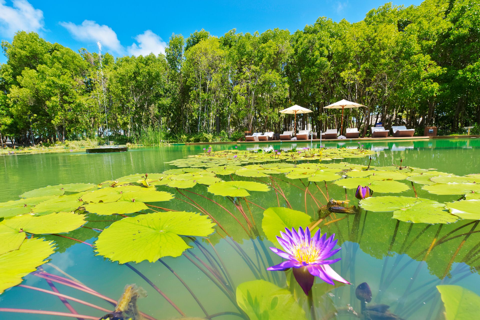 014 - Dreamland Unique Island Resort & Spa.jpg