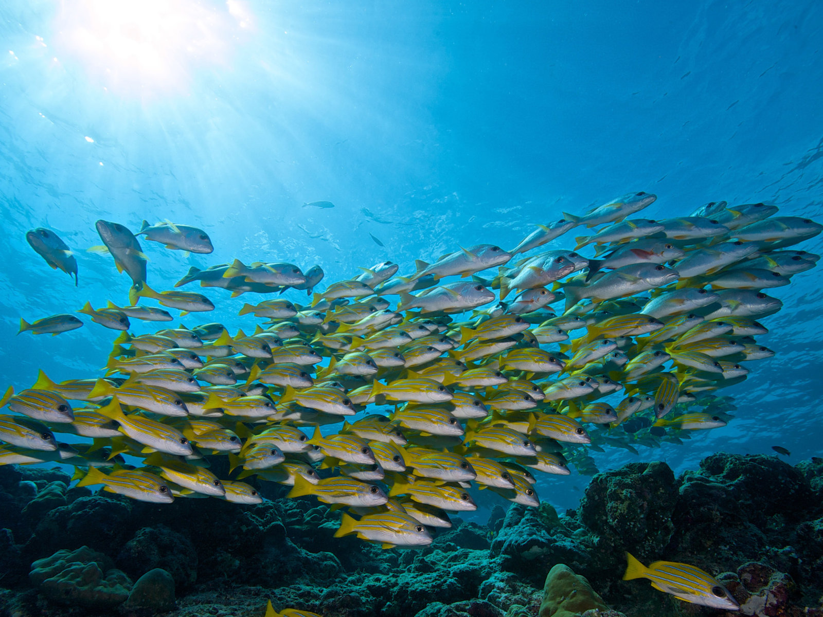 030 - Innahura Maldives Resort.jpg