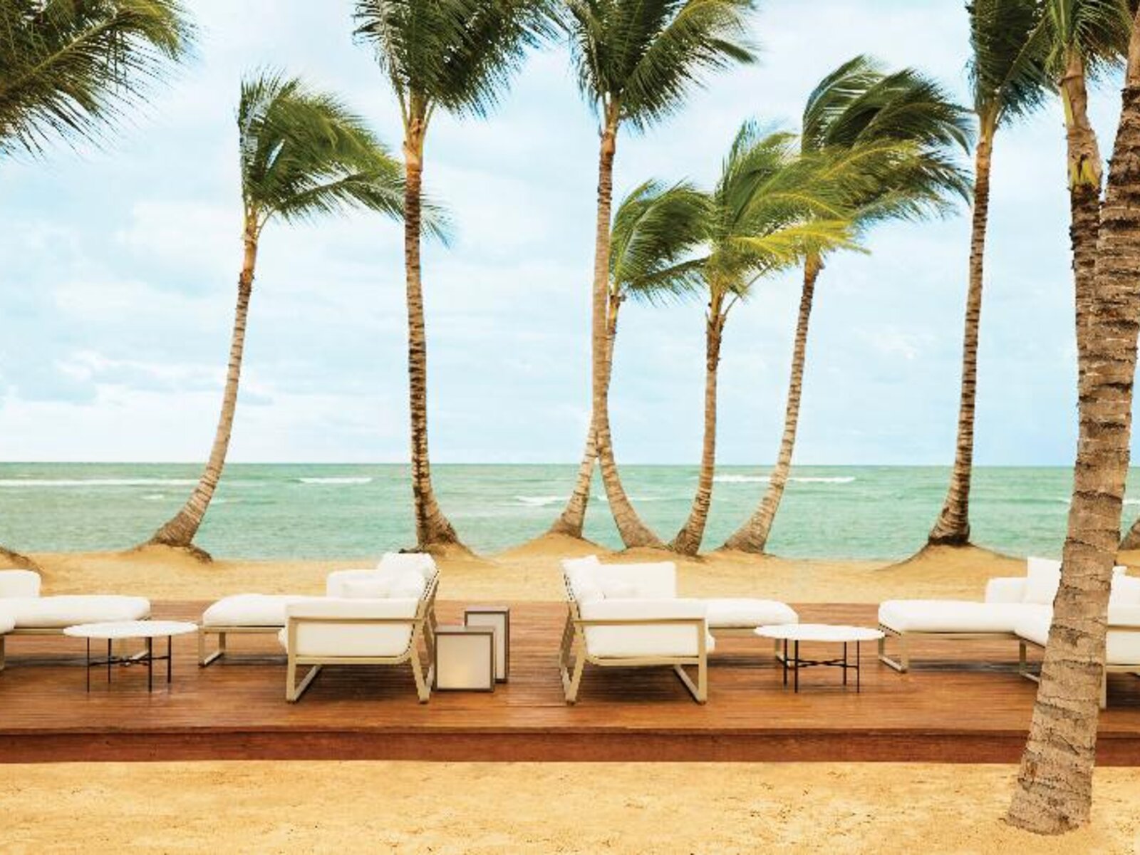 050 - Excellence El Carmen.jpg