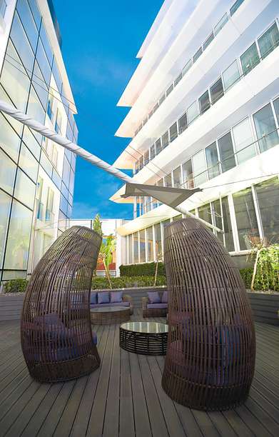 102819229 - The Vine.jpg