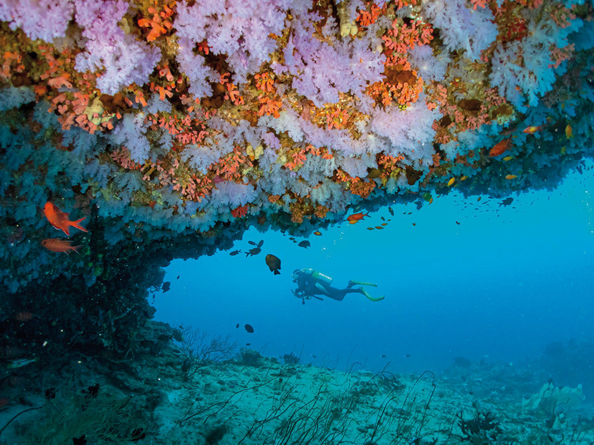 022 - Eri Maldives.jpg