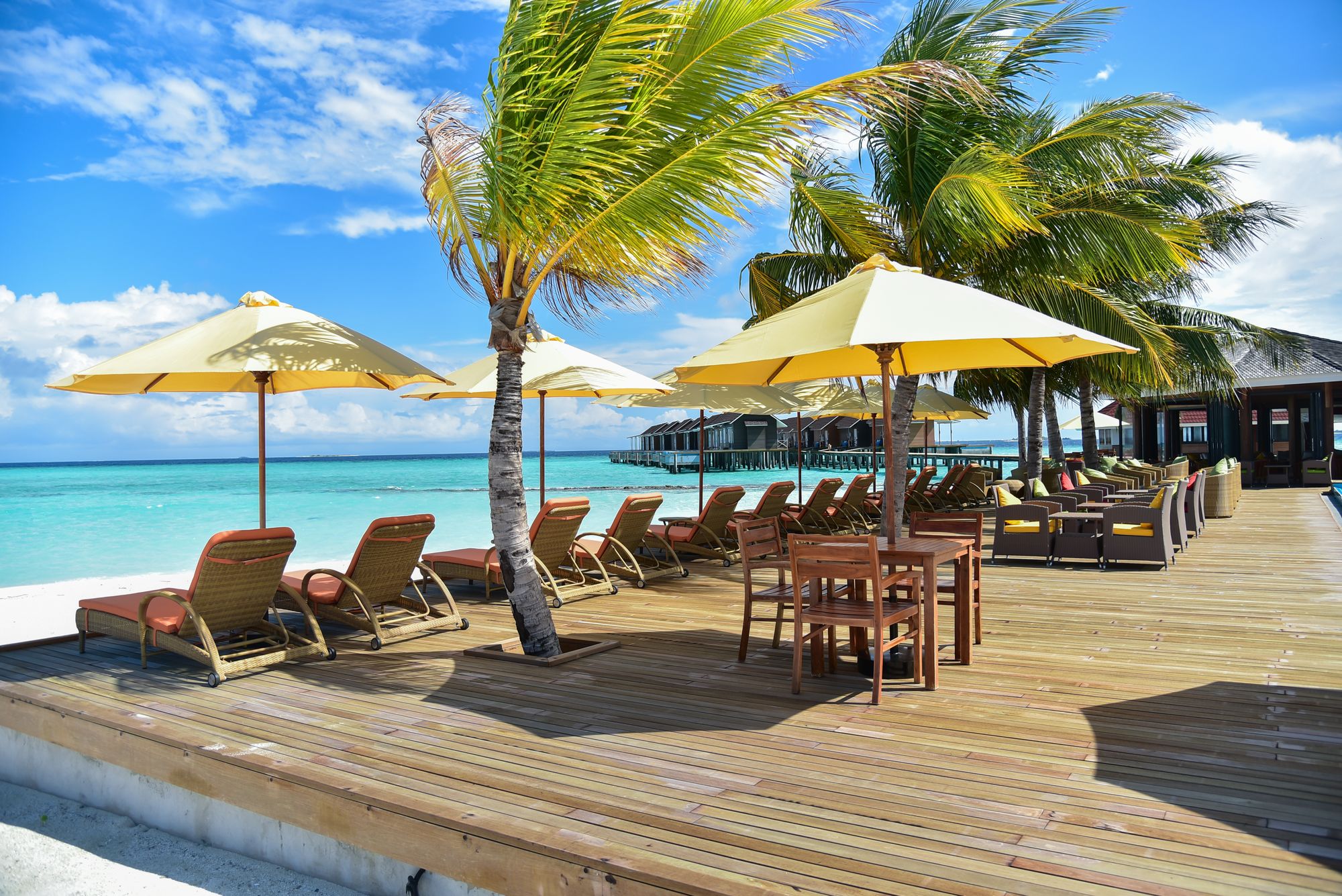 004 - Dhigufaru Island Resort.jpg