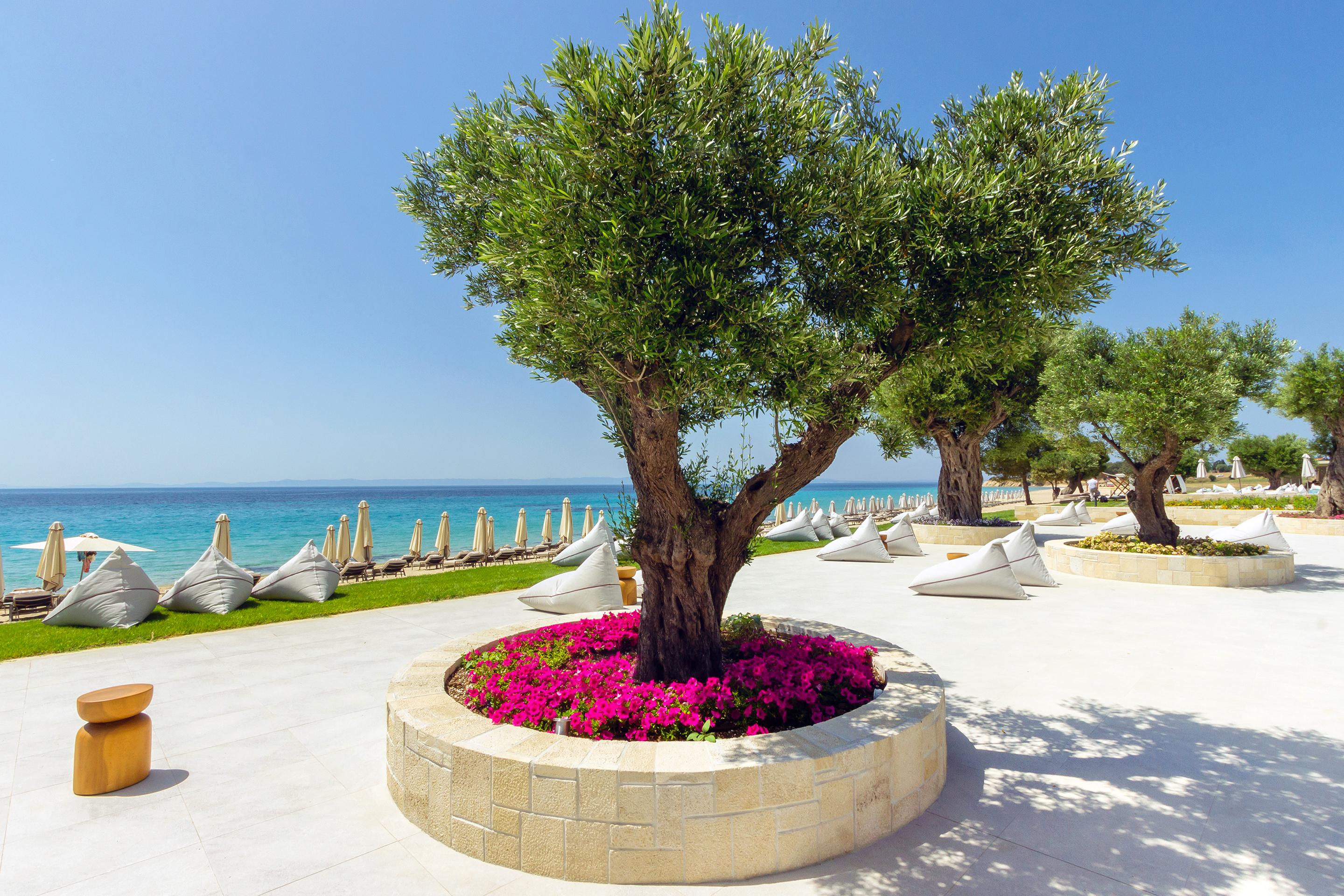 109 - Ammoa Luxury Hotel & Spa Resort.jpg