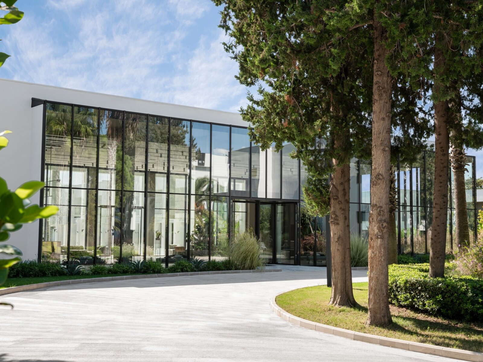 003 - PALOMA Finesse Side.jpg