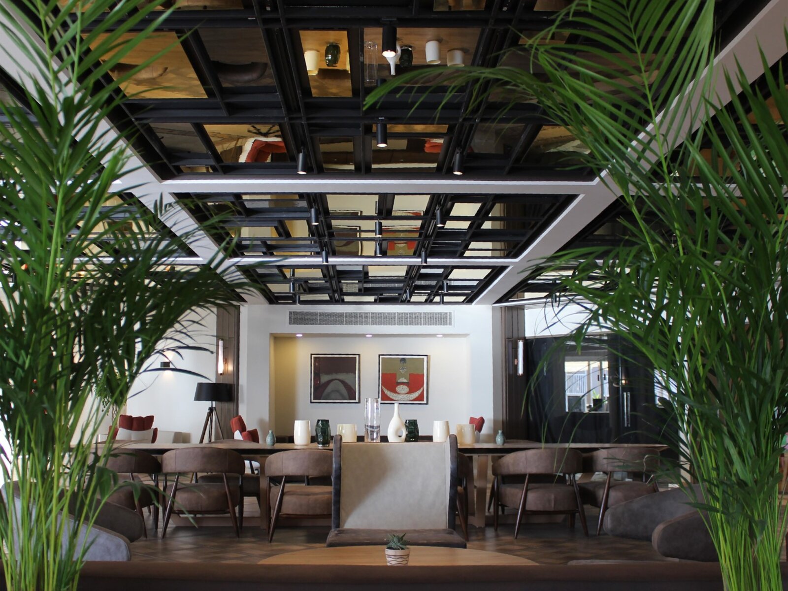 016 - SENTIDO Perissia .jpg