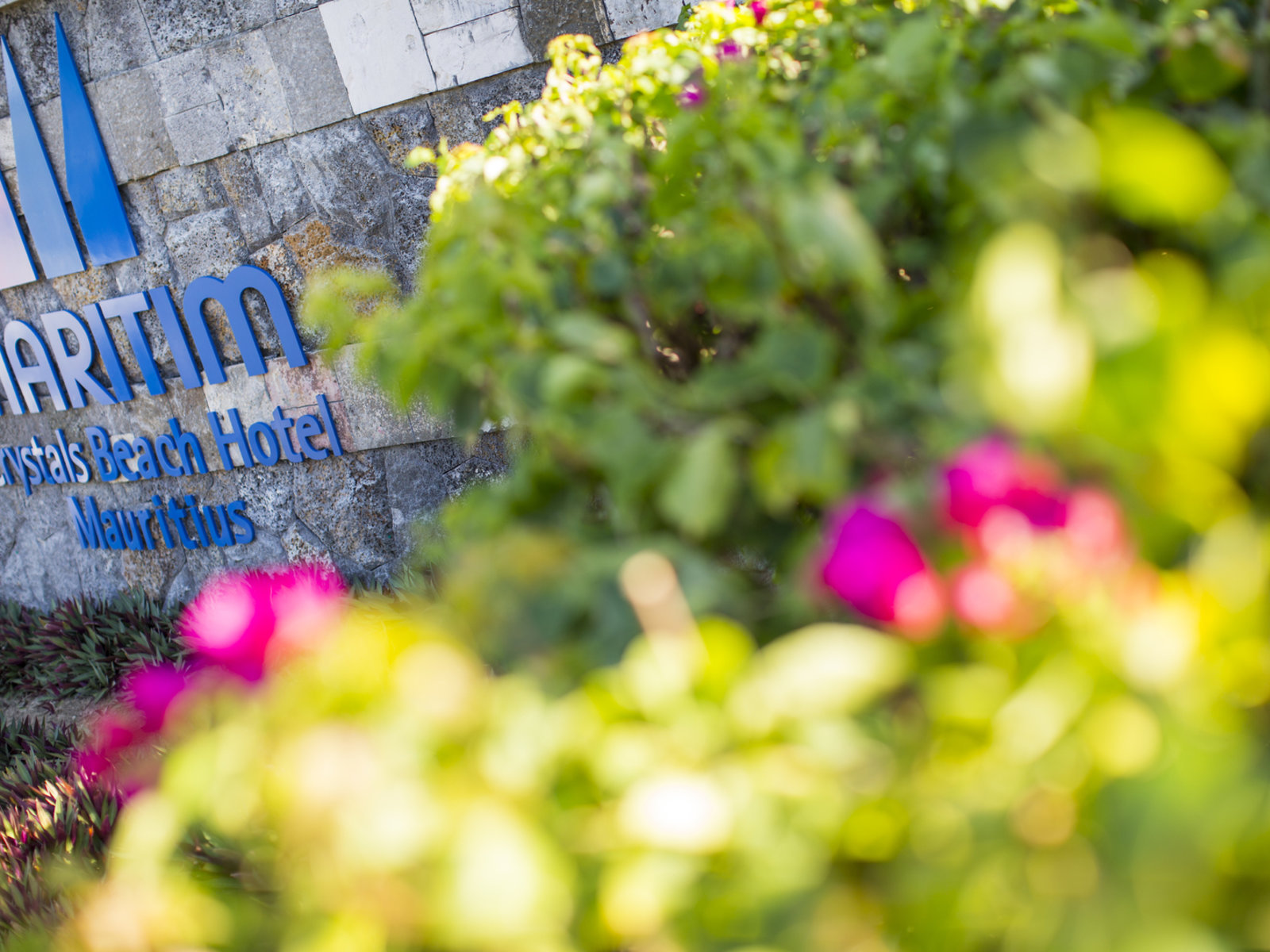 87363057 - Maritim Crystals Beach Hotel Mauritius.jpg