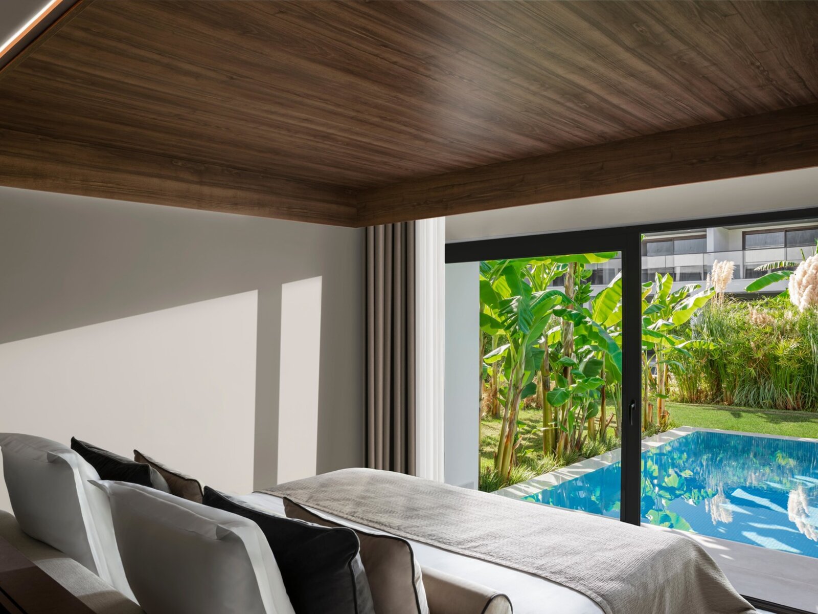 036 - PALOMA Finesse Side.jpg