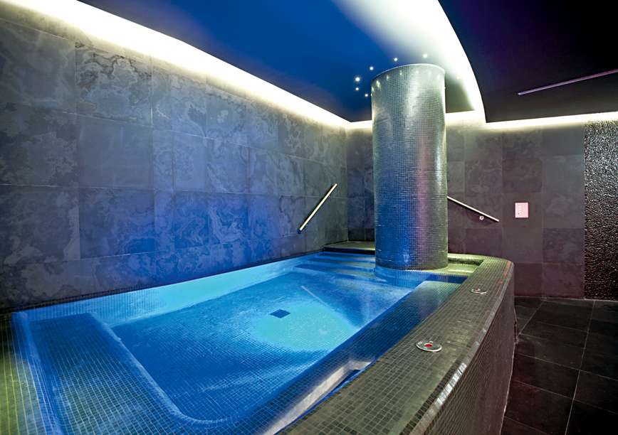 102819228 - The Vine.jpg