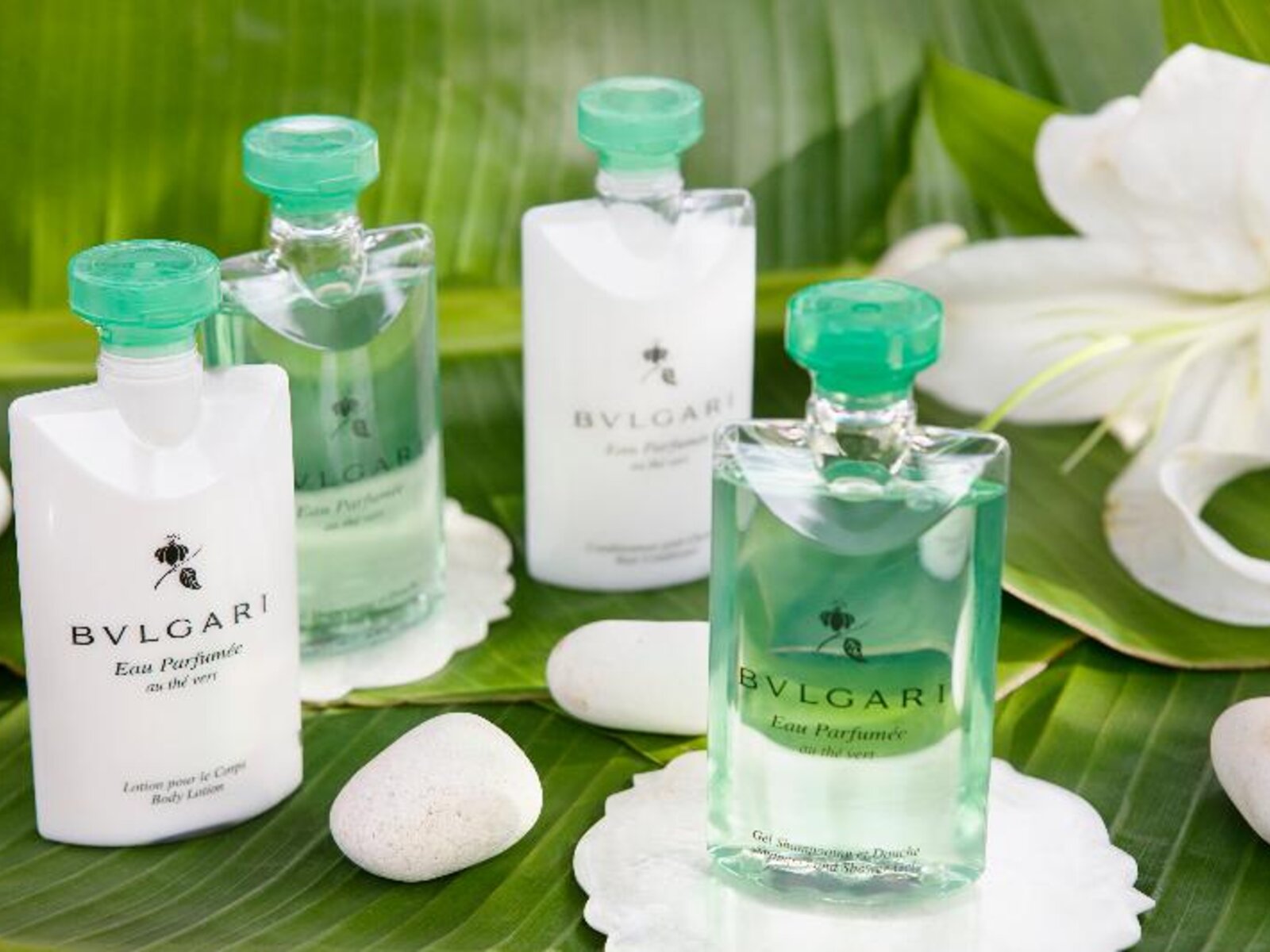 065 - Excellence El Carmen.jpg