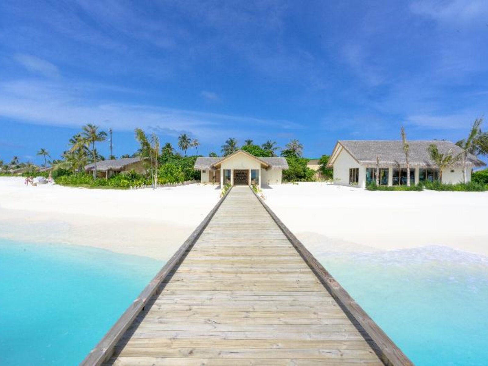 021 - You & Me by Cocoon.jpg