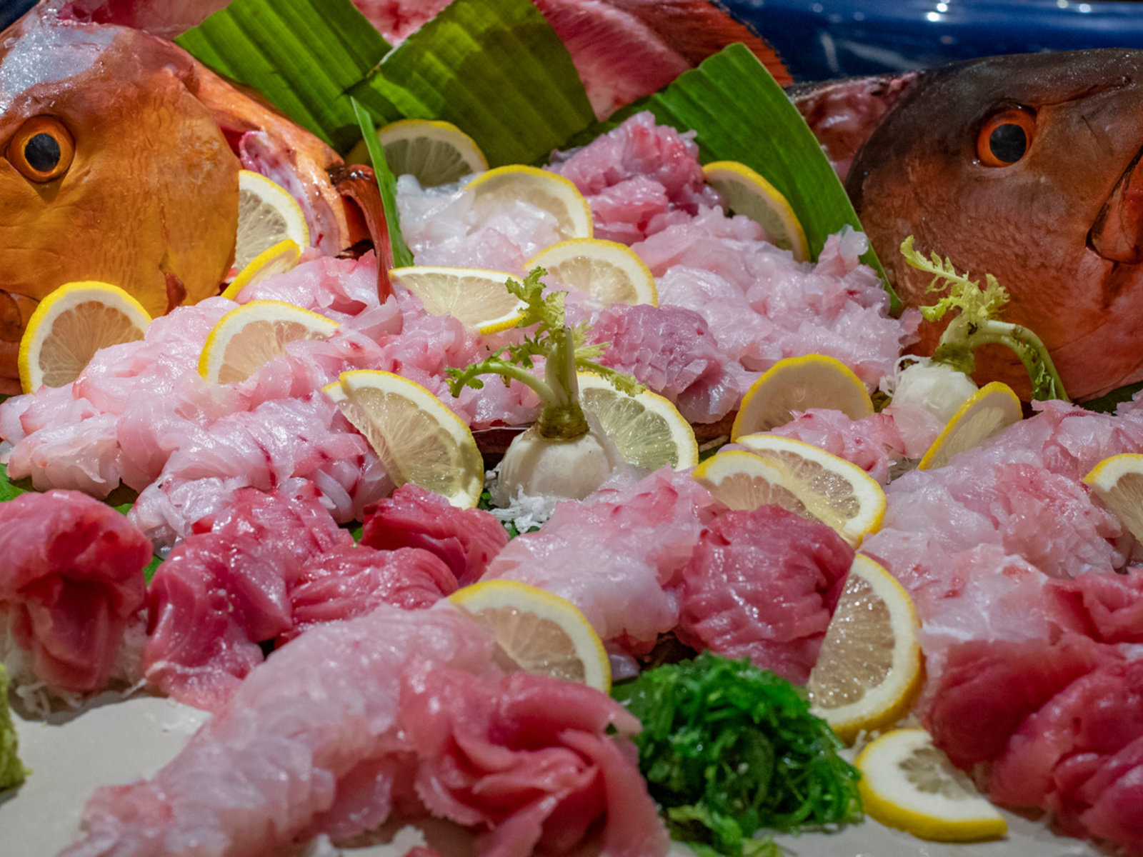 023 - Furaveri Island Resort & Spa.jpg