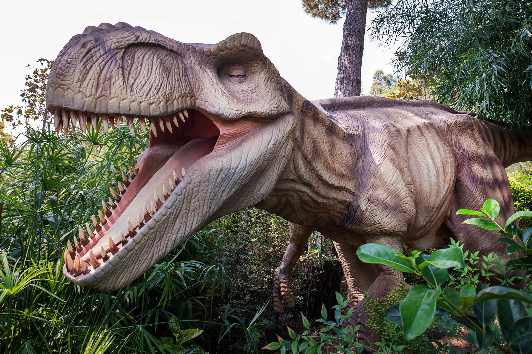 052 - Maxx Royal Belek Golf Resort .jpg