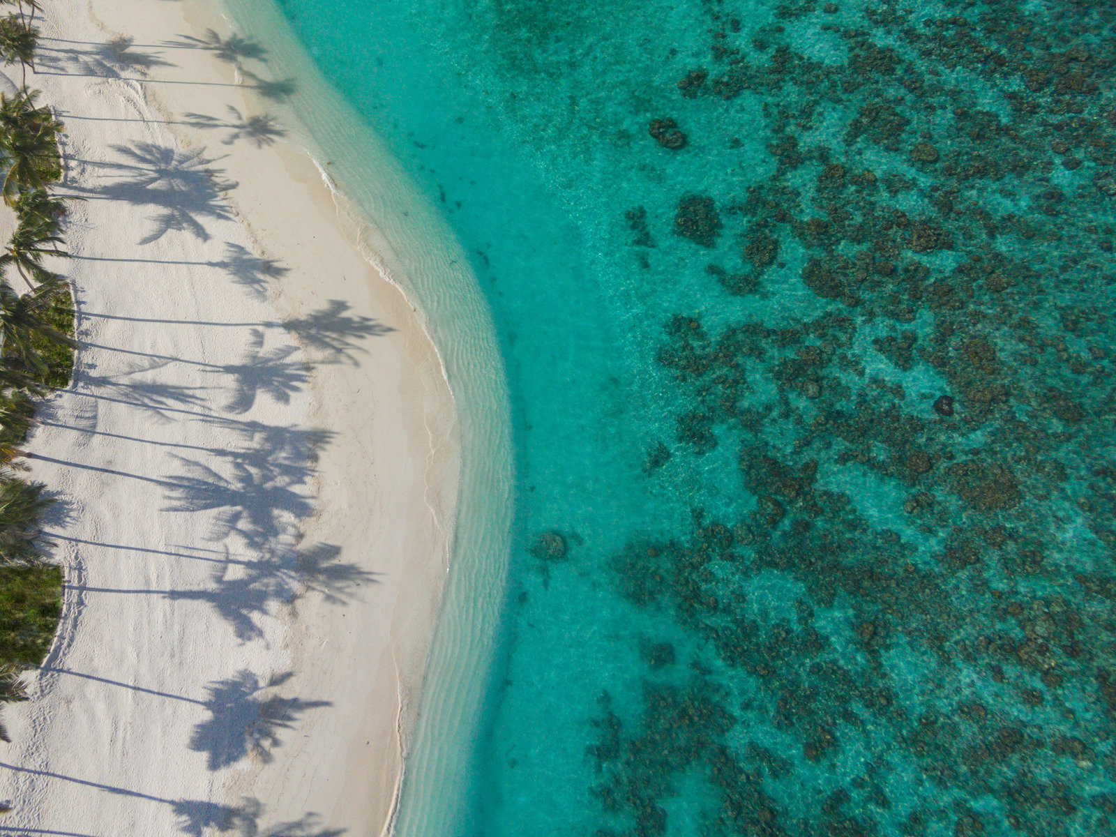 86629168 - Milaidhoo Island.jpg