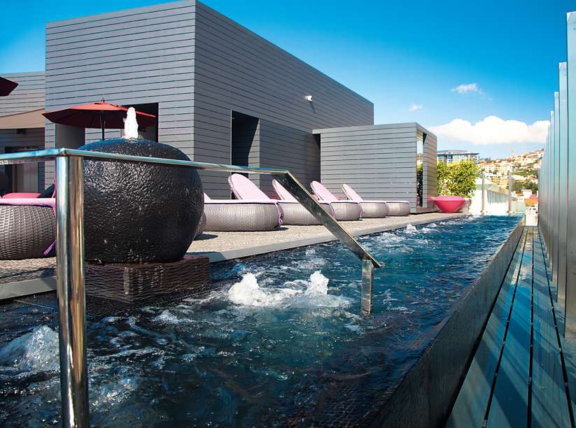 102819232 - The Vine.jpg