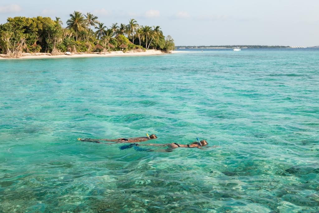 Reethi Faru Resort 31.jpg