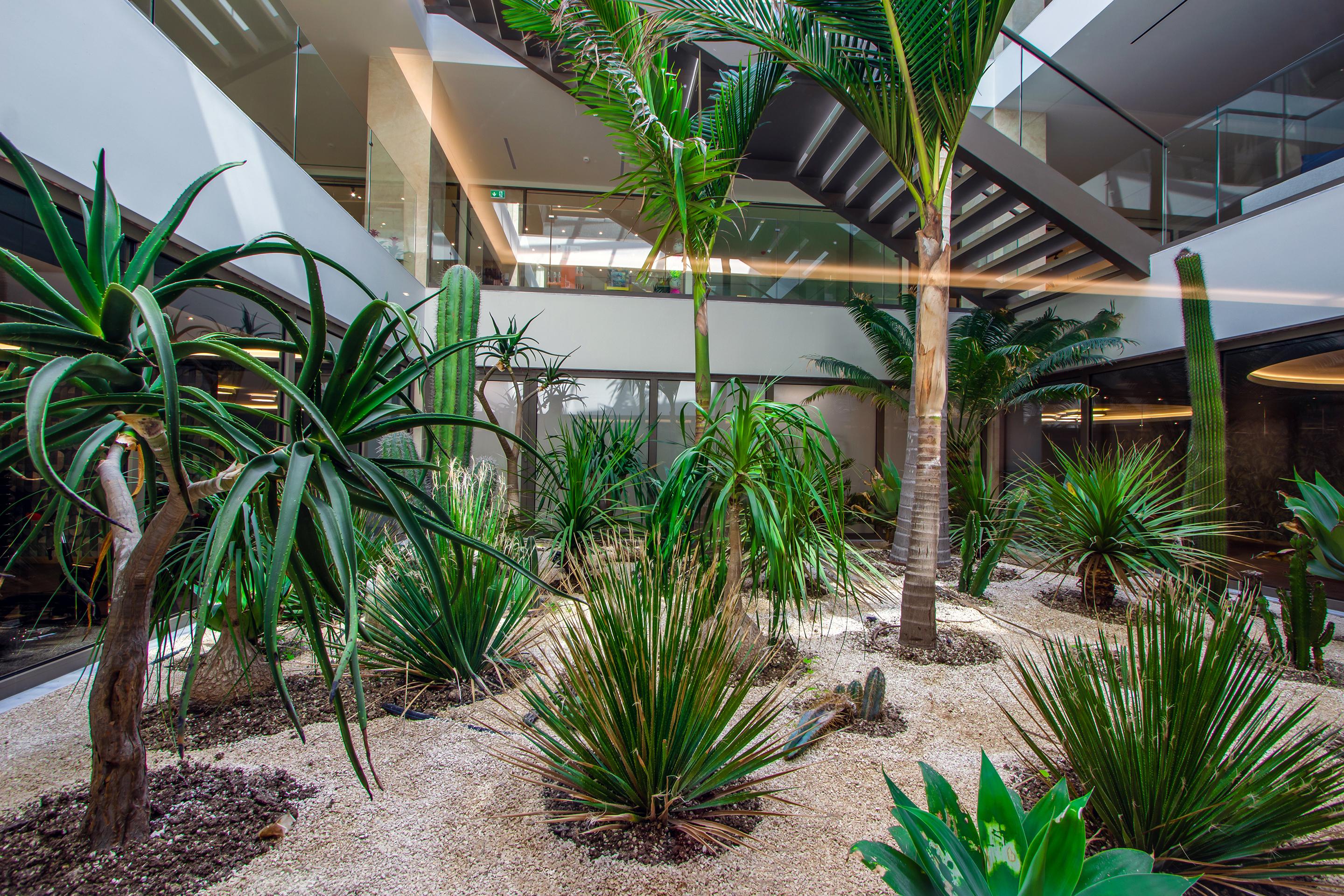 048 - Ammoa Luxury Hotel & Spa Resort.jpg