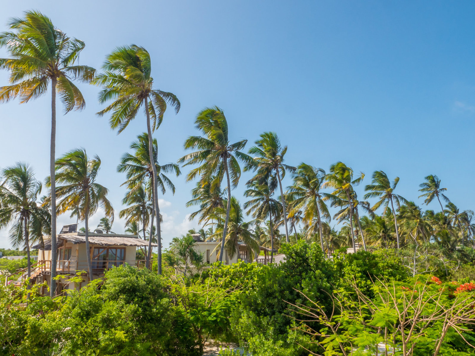 93724452 - Zanzibar White Sand Luxury Villas & Spa.jpg