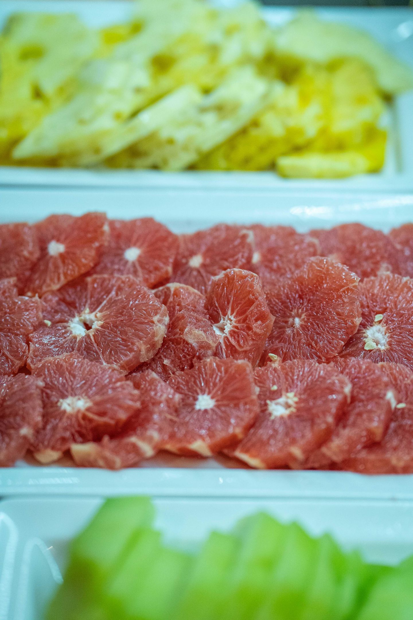 081 - HVD Reina del Mar.jpg