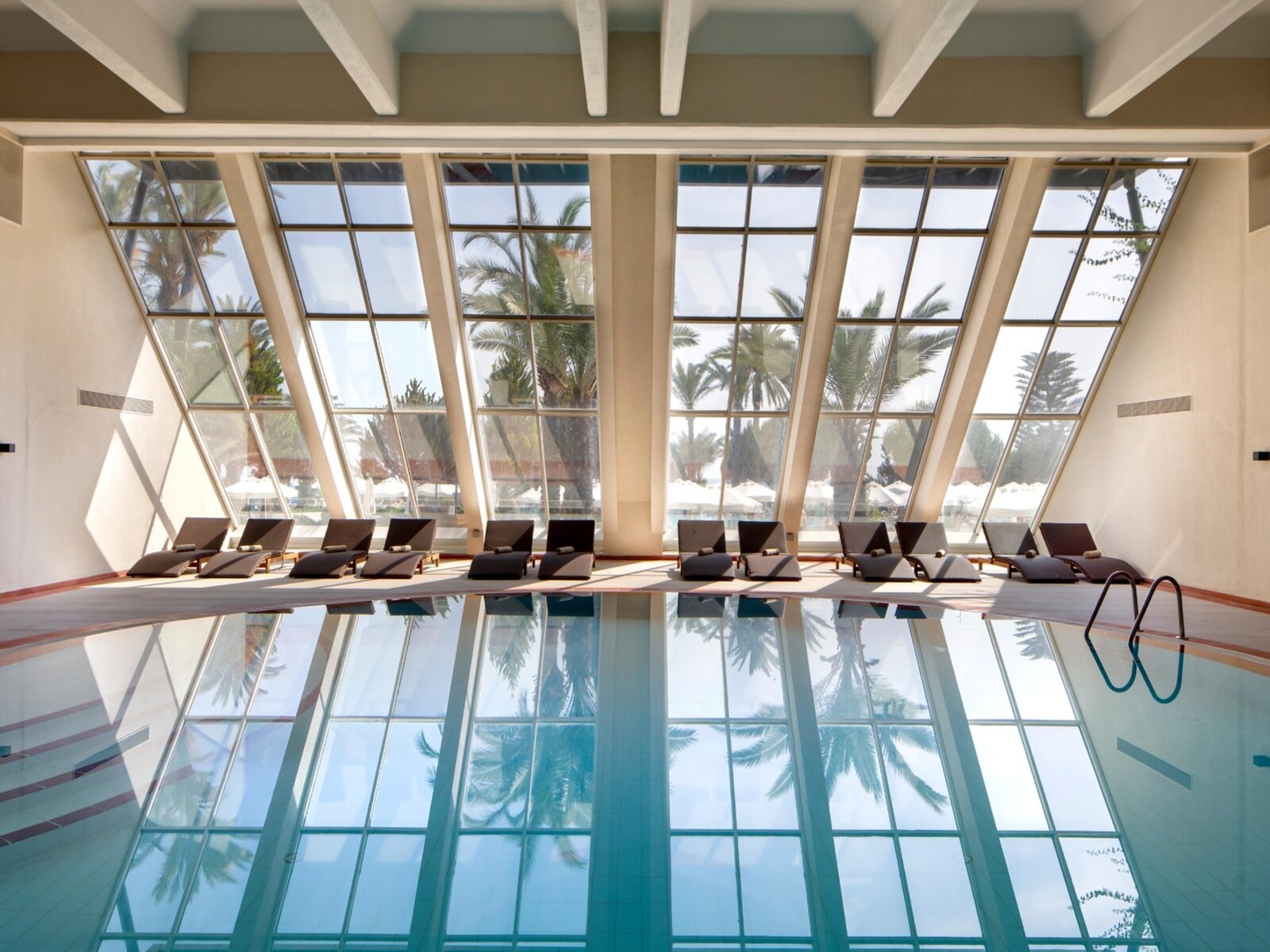 005 - SENTIDO Perissia .jpg