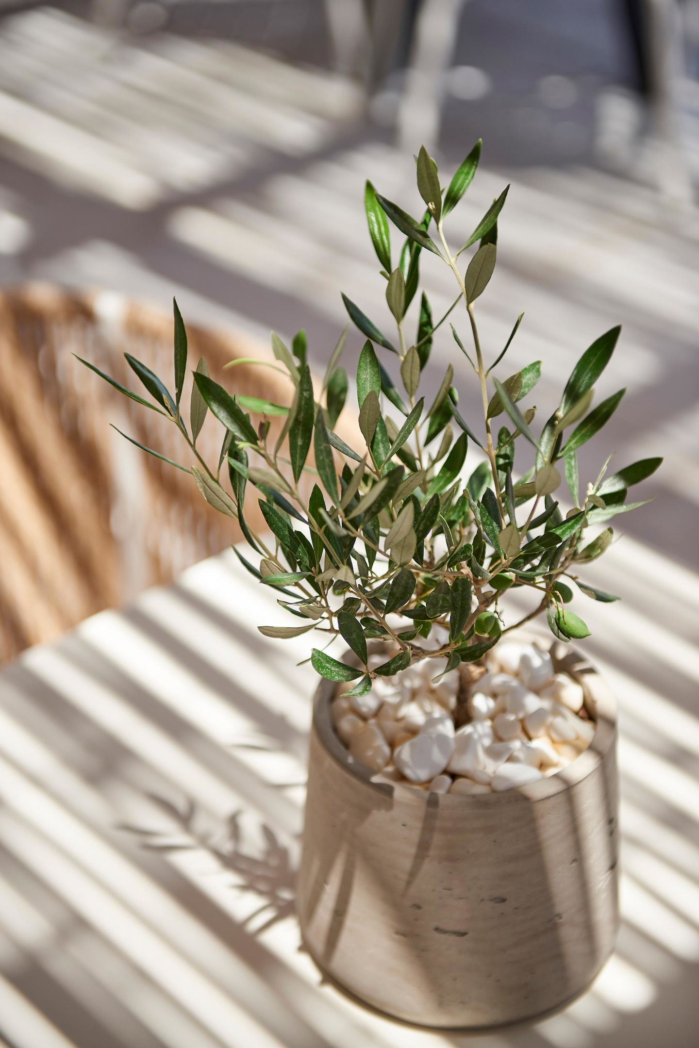 075 - Summer Senses Luxury Resort.jpg