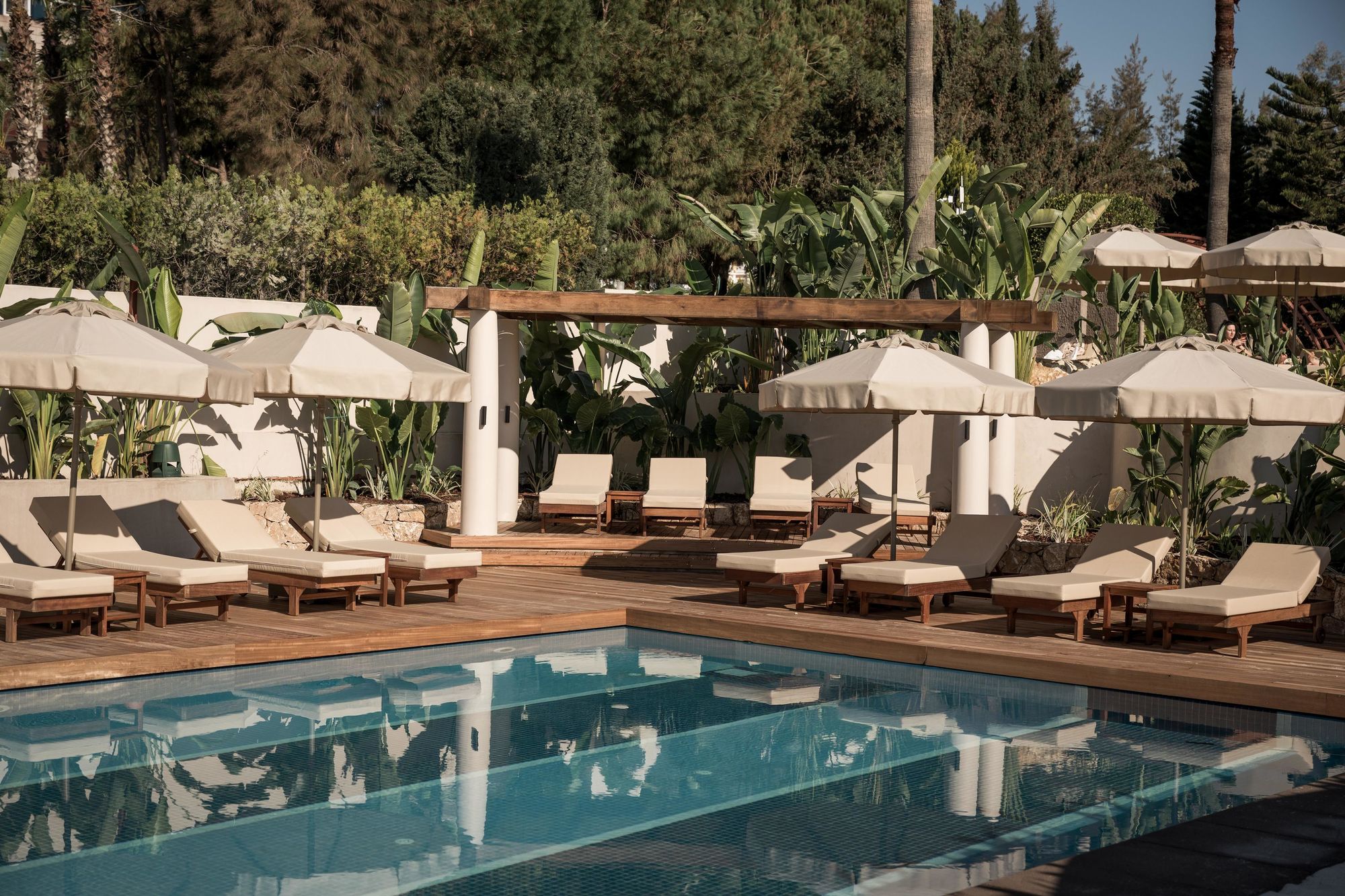 004 - Adalya Bliss - Adults Only.jpg