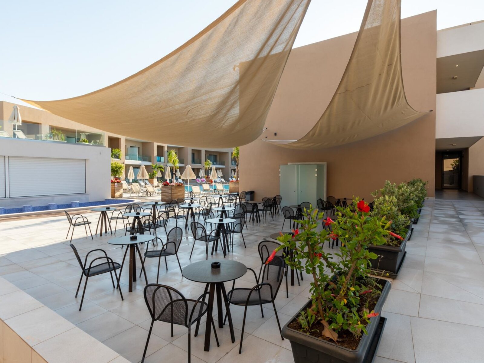 045 - White Olive Elite Laganas.jpg