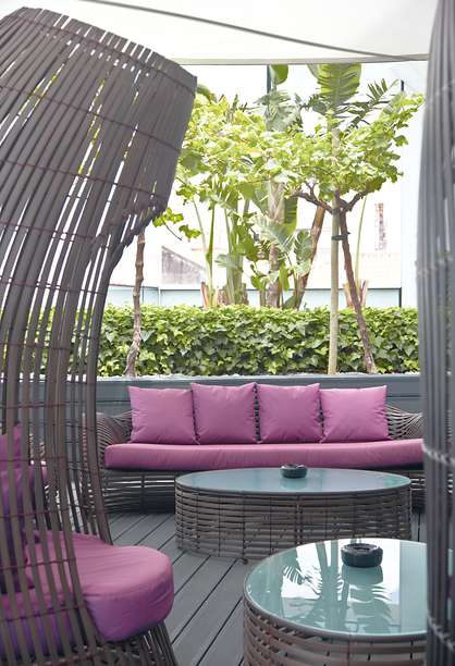 102819230 - The Vine.jpg