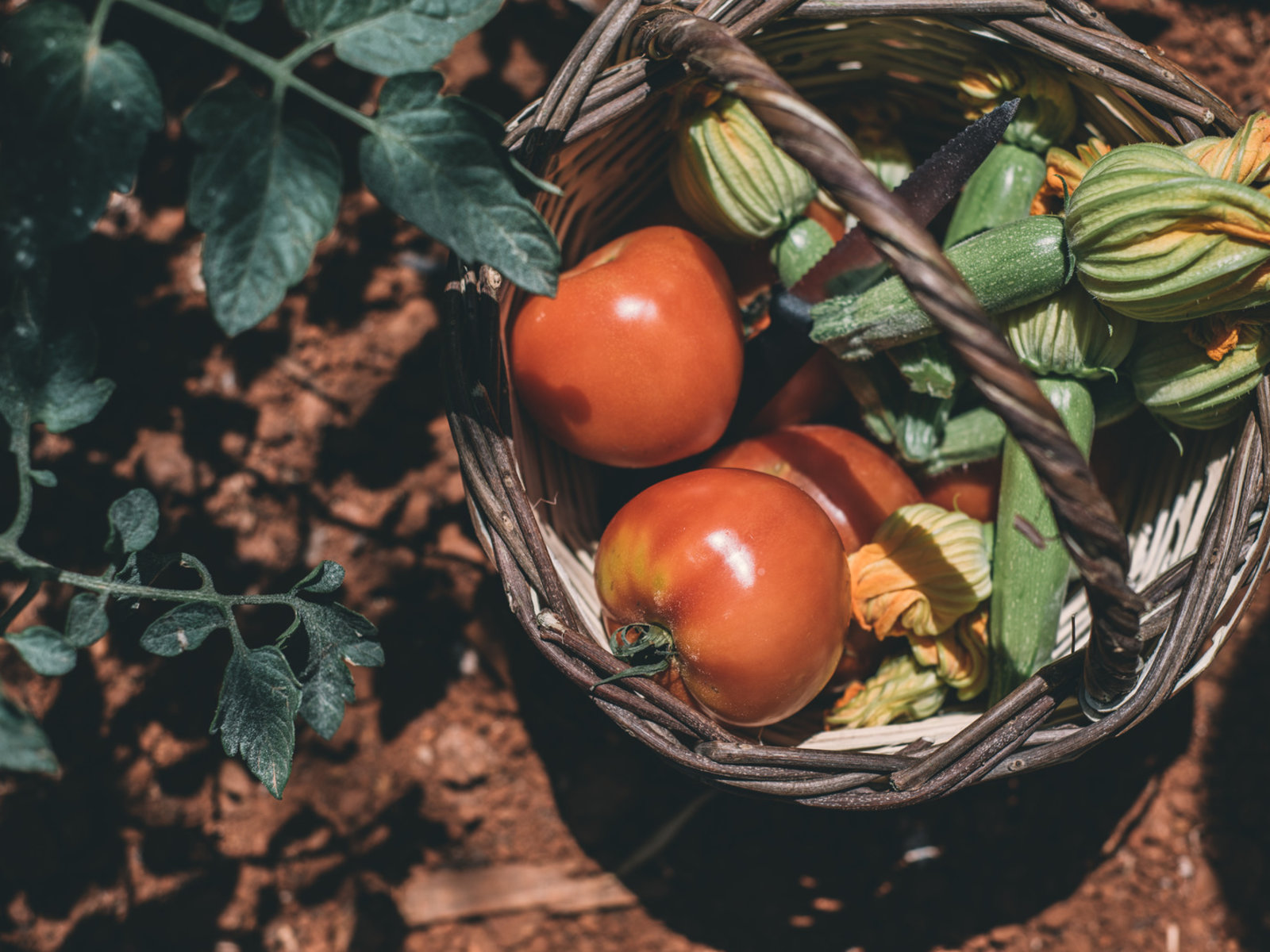 102344423 - Stella Island Luxury Resort & Spa.jpg