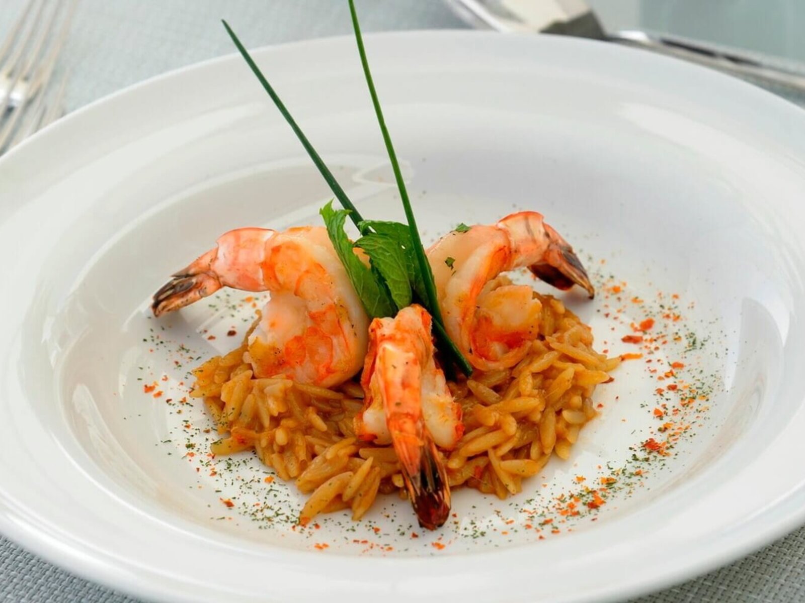 003 - Ikos Odisia.jpg