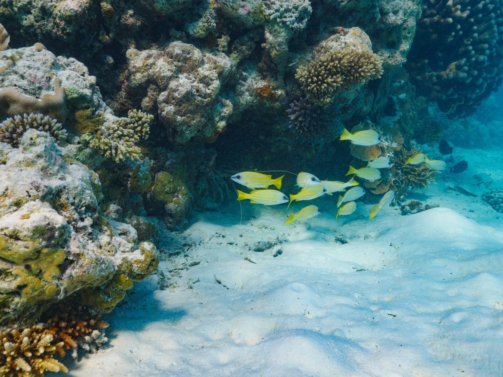 005 - The Ritz Carlton Maldives, Fari Islands.jpg