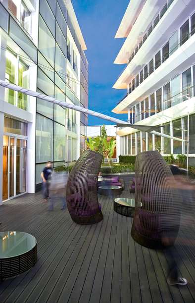 102819220 - The Vine.jpg