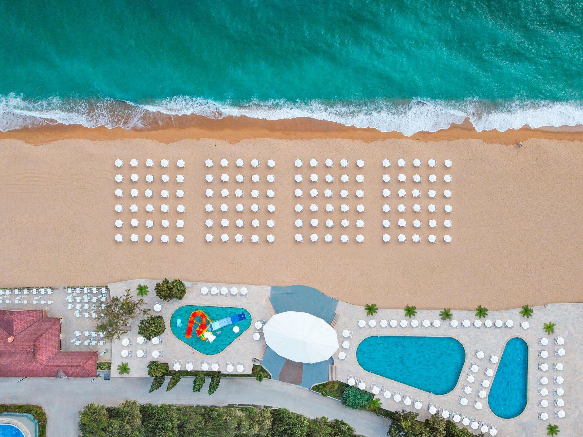 005 - Grifid Noa.jpg