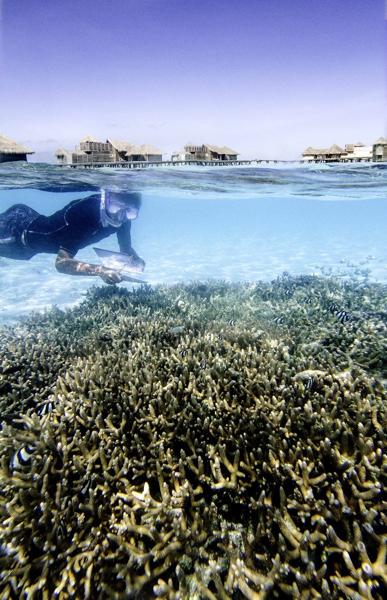 029 - Gili Lankanfushi Maldives.jpg