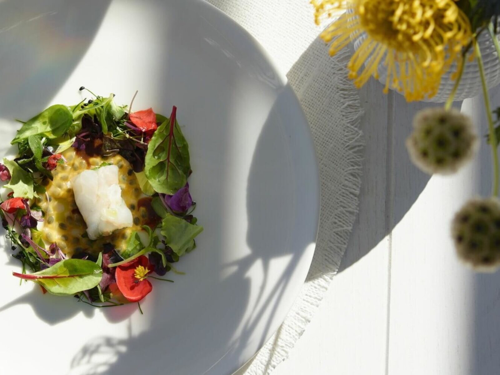 004 - Ikos Odisia.jpg