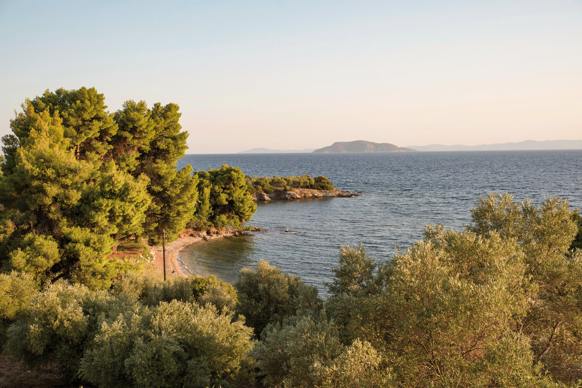 008 - Casa Bloo .jpg