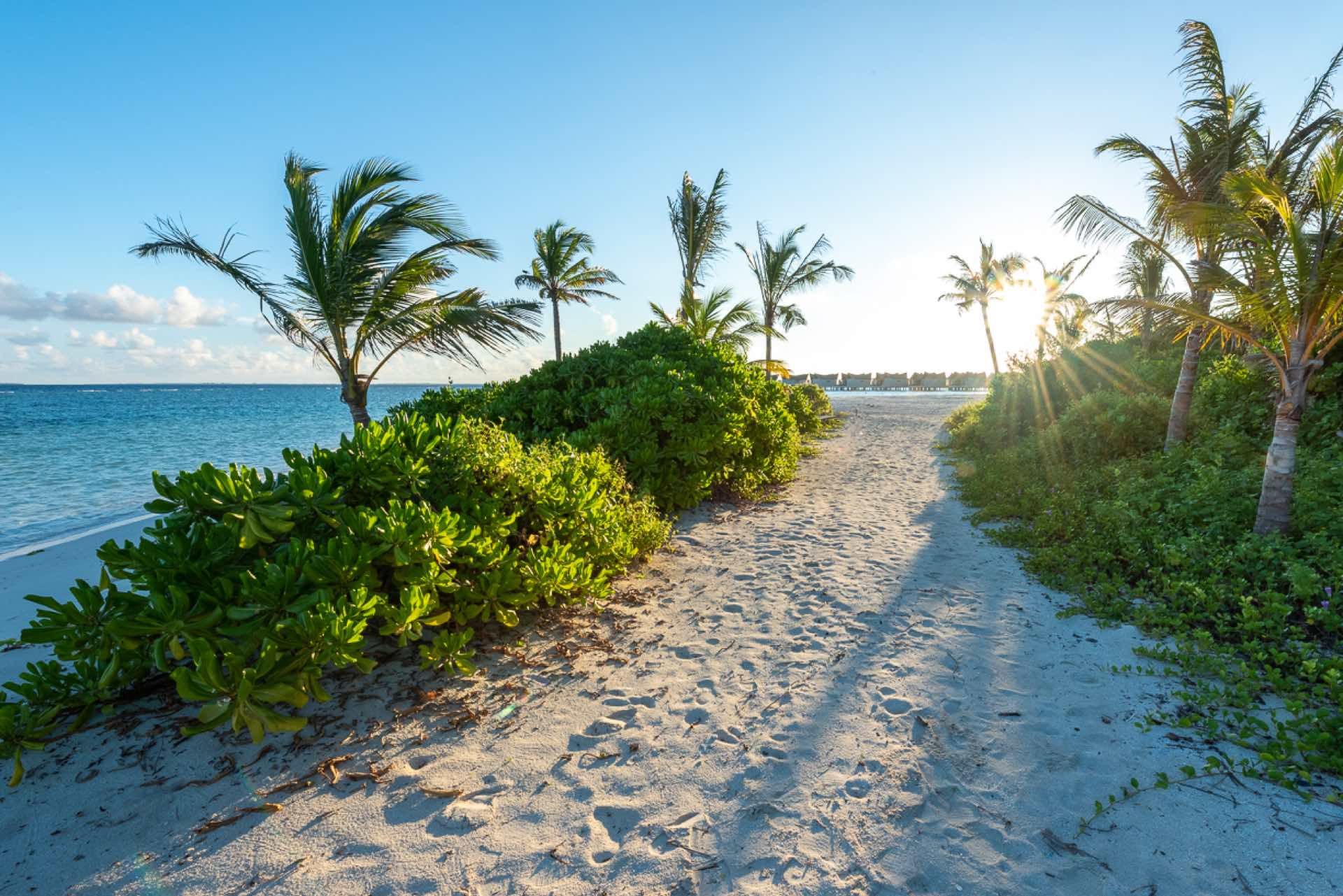 007 - Mövenpick Resort & Spa Kuredhivaru.jpg