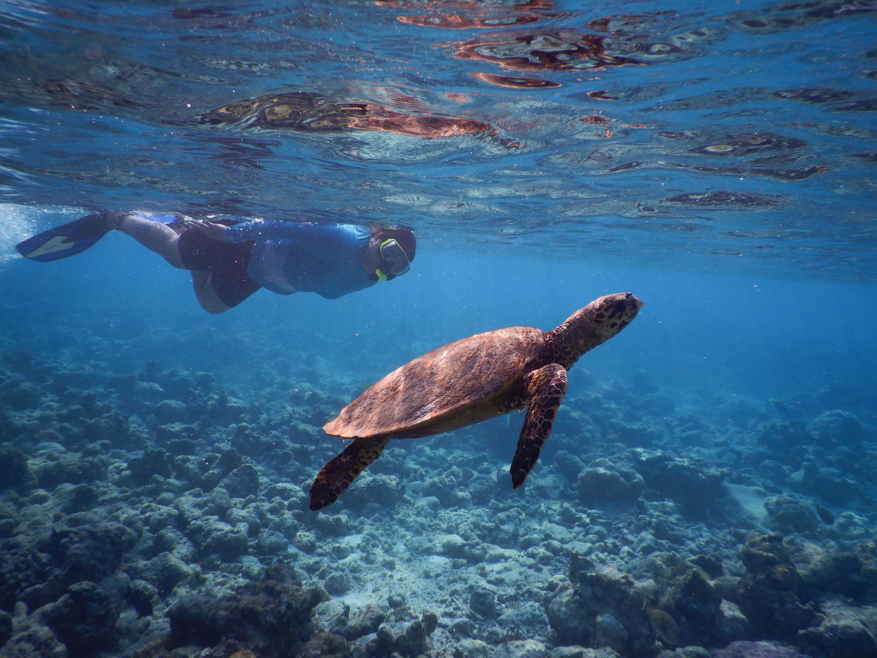 029 - Reethi Faru Resort.jpg