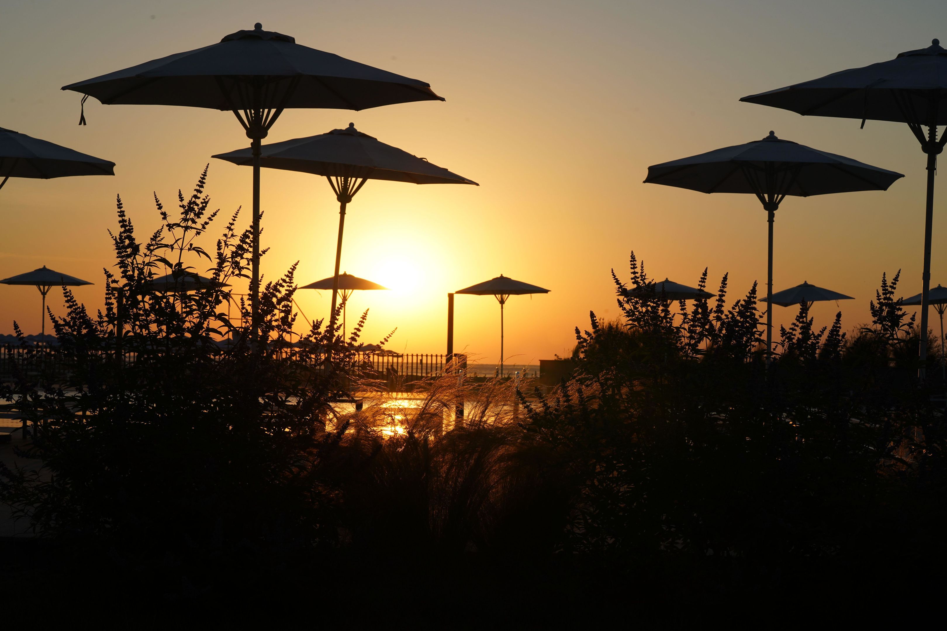 052 - HVD Reina del Mar.jpg