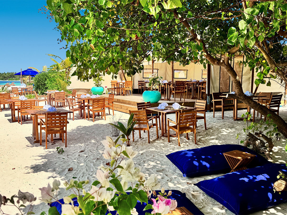 007 - The Maverick Surf & Dive.jpg