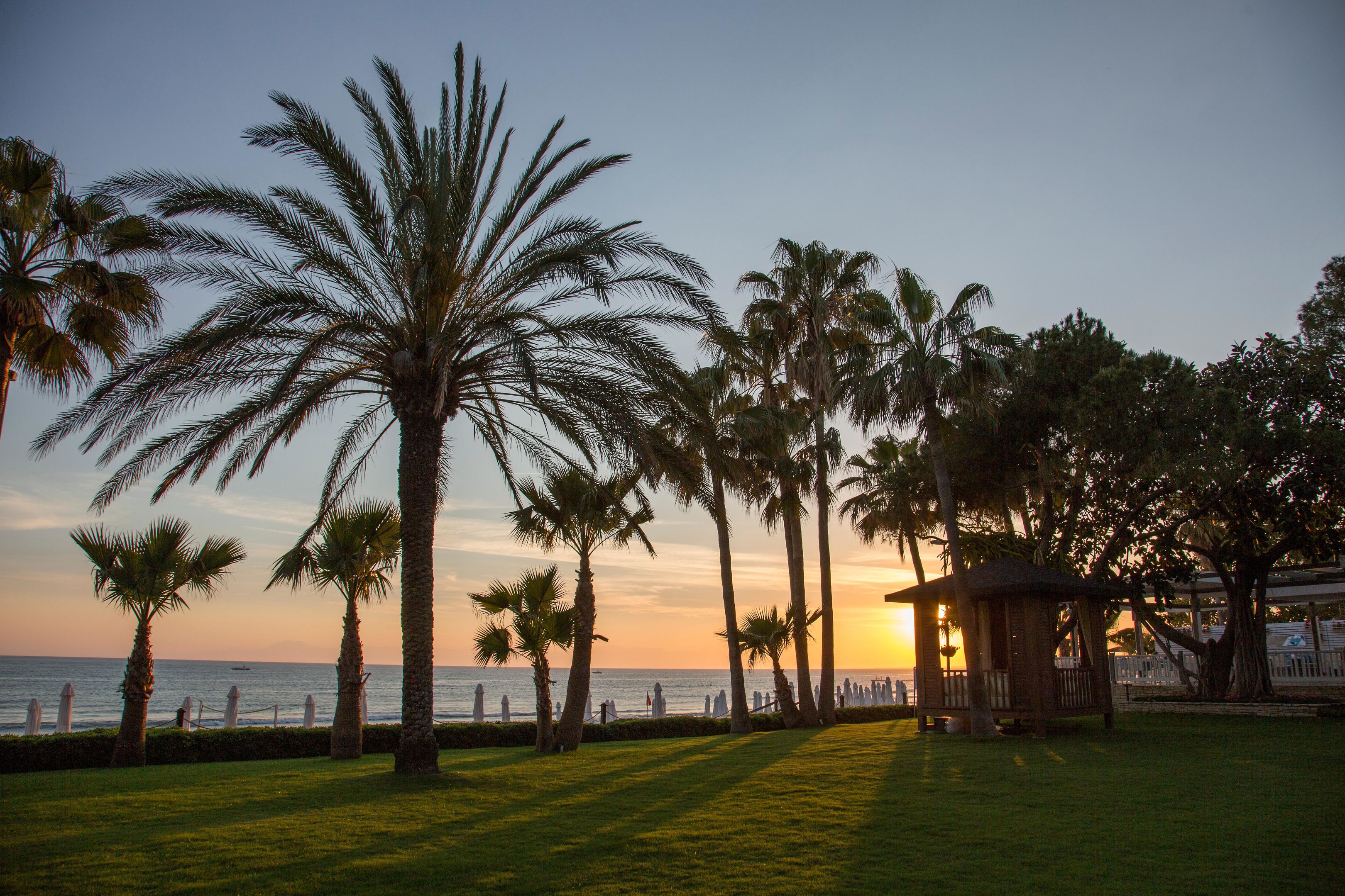 038 - Barut Acanthus & Cennet.jpg