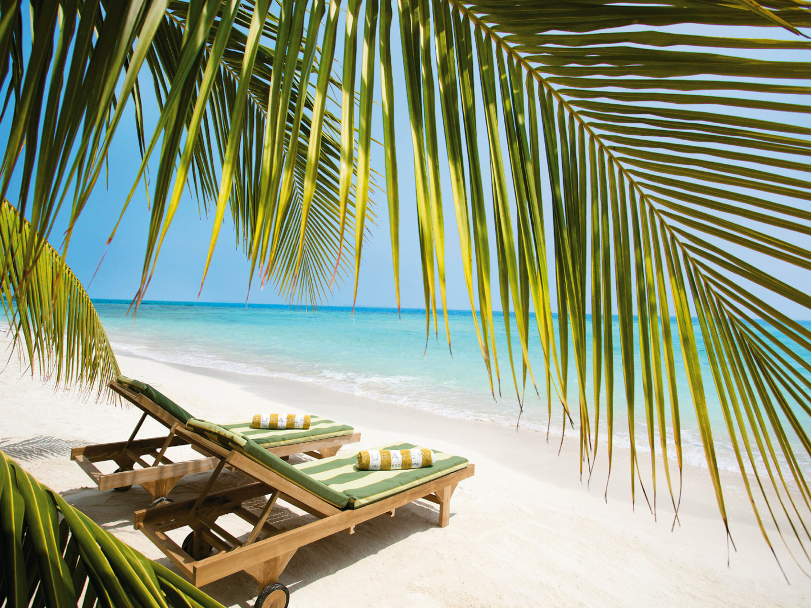 007 - Furaveri Island Resort & Spa.jpg