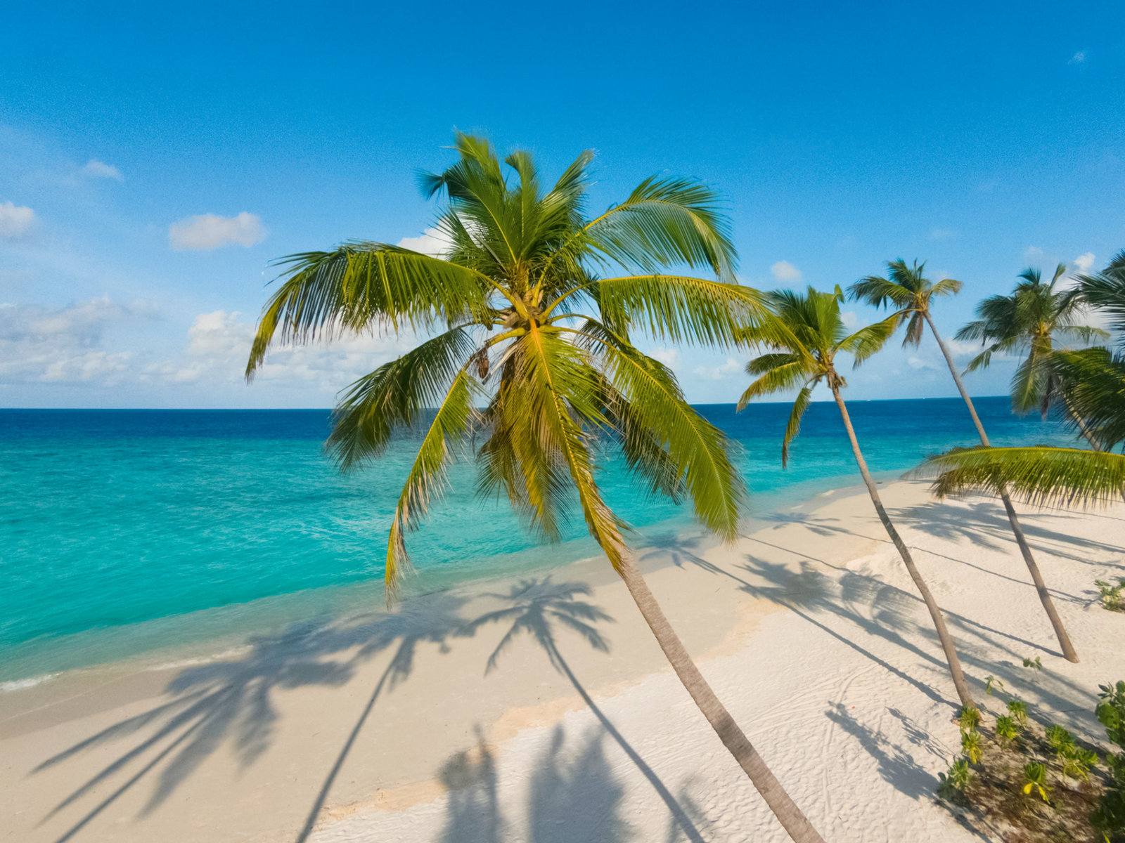 86629176 - Milaidhoo Island.jpg