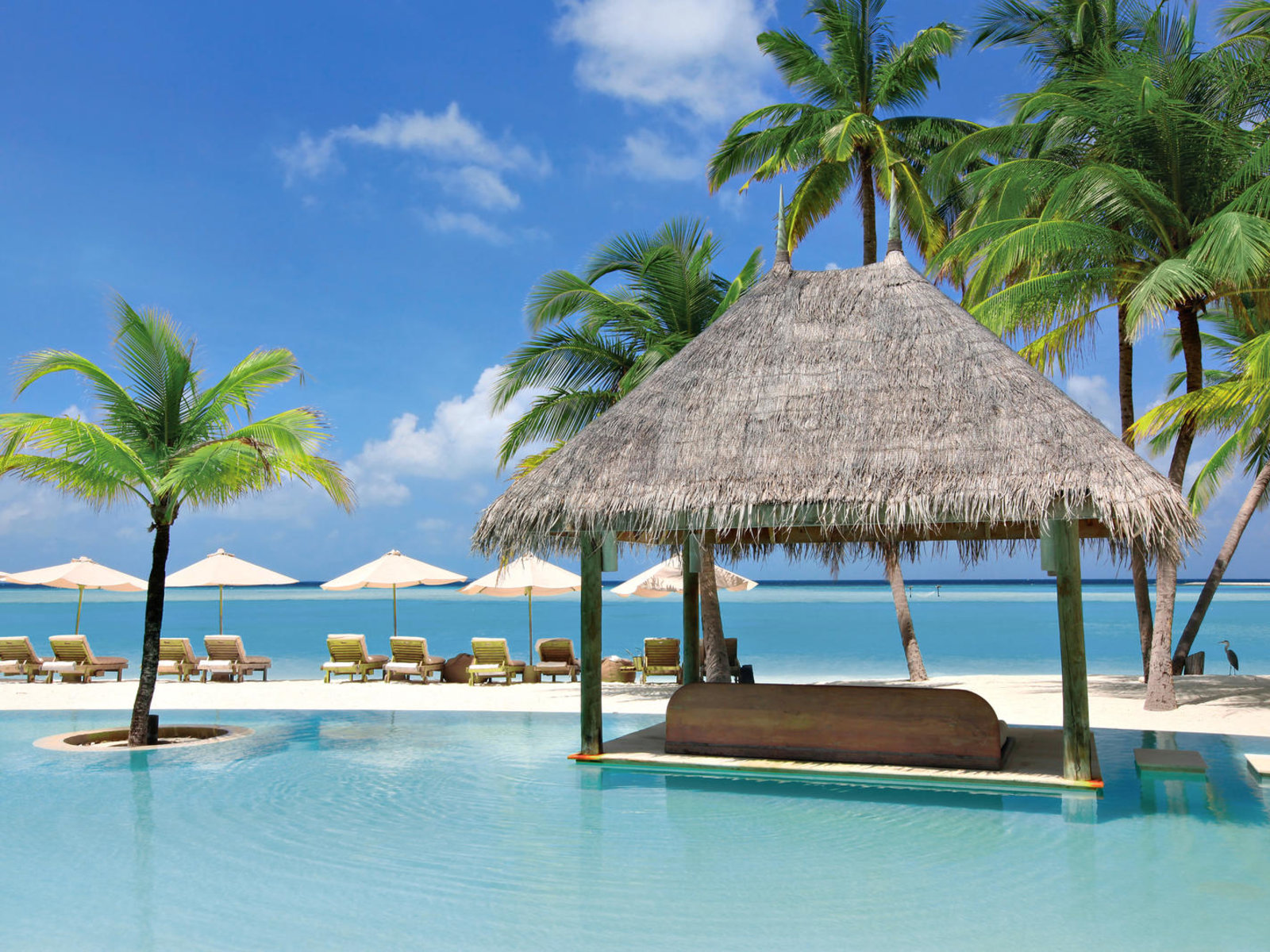 004 - Gili Lankanfushi Maldives.jpg