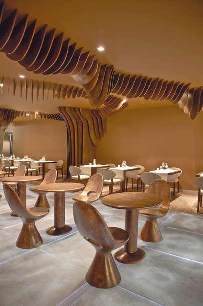 102819224 - The Vine.jpg