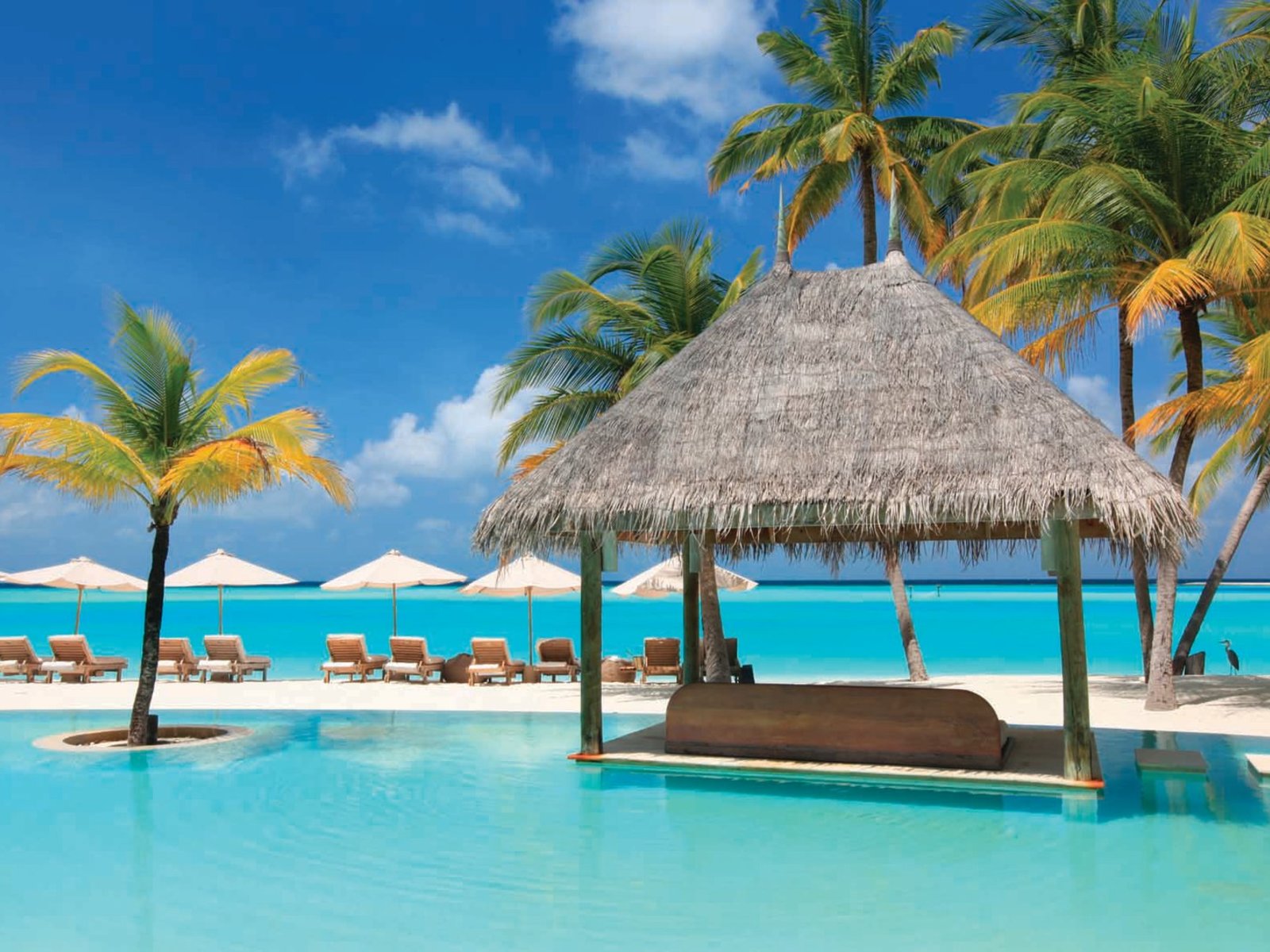 005 - Gili Lankanfushi Maldives.jpg